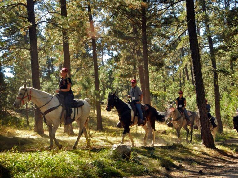 custer state park horse trail ride 768x576