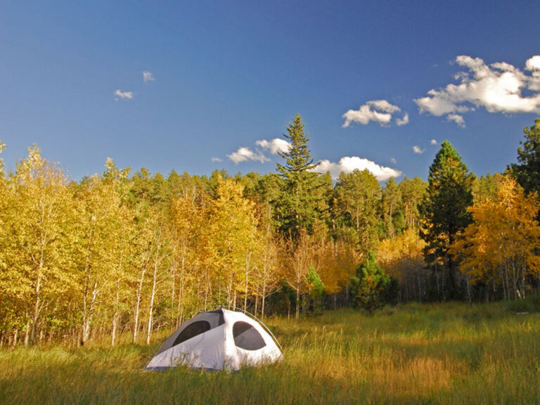 custer state park primitive camping in fall 768x576