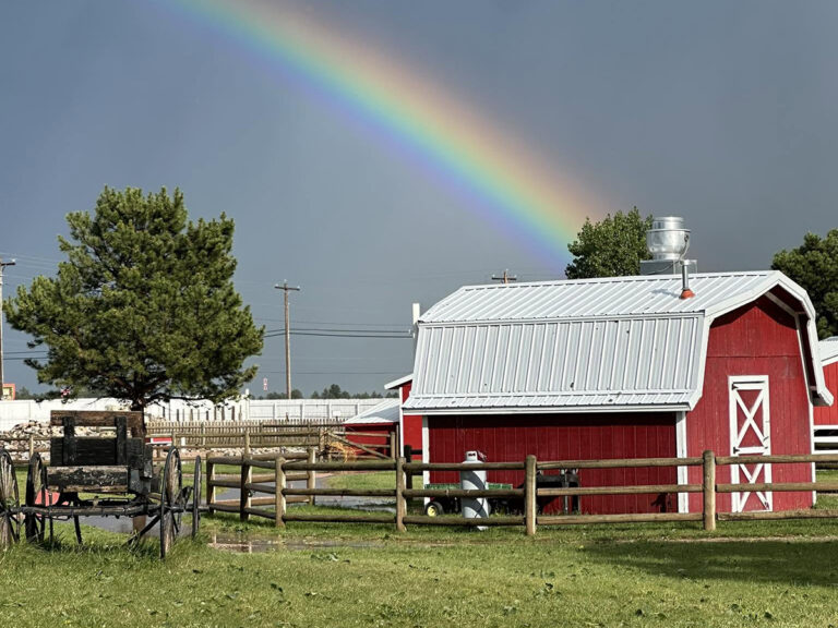 old macdonalds farm rapid city barns 768x576