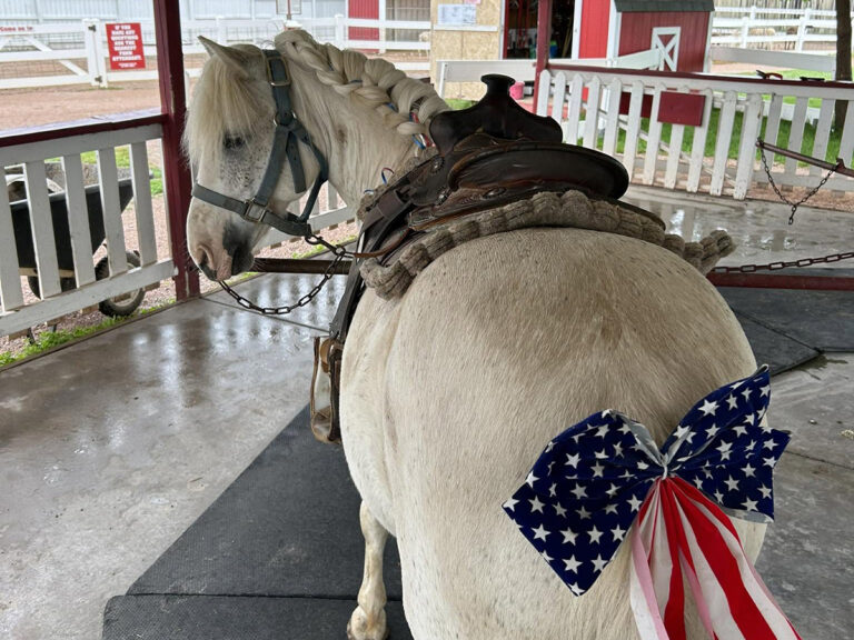 old macdonalds farm rapid city pony rides 768x576