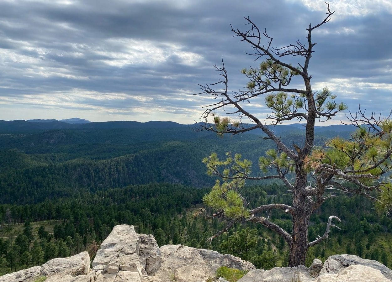 Buzzard Roost Trail Overlook