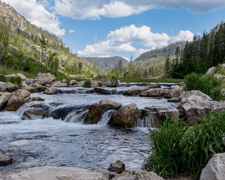 Creek Running through Spearfish Canyon