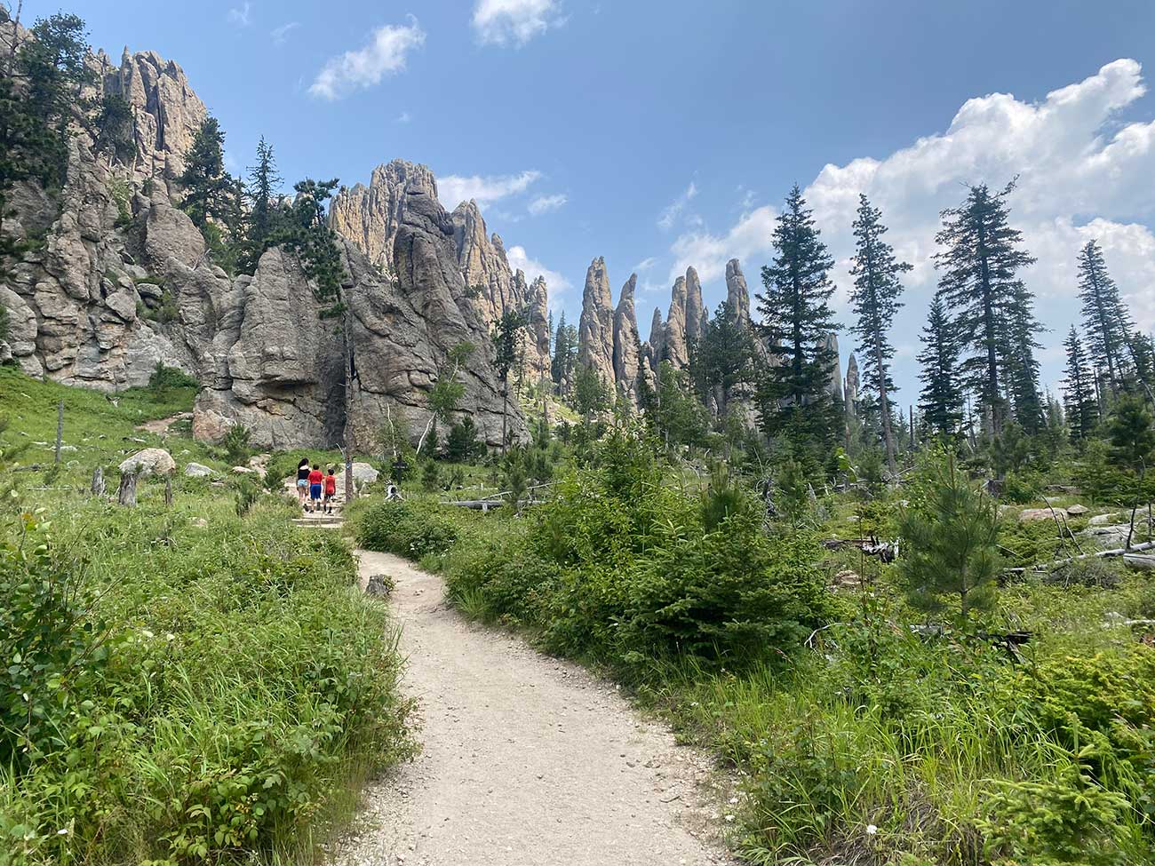 Cathedral Spires outside of Custer, SD