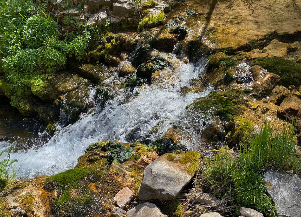 iron-creek-trail-spearfish-2-rmowtnx618vv2em8n6wq44rzl5fcrsv30c3tuvhcbs