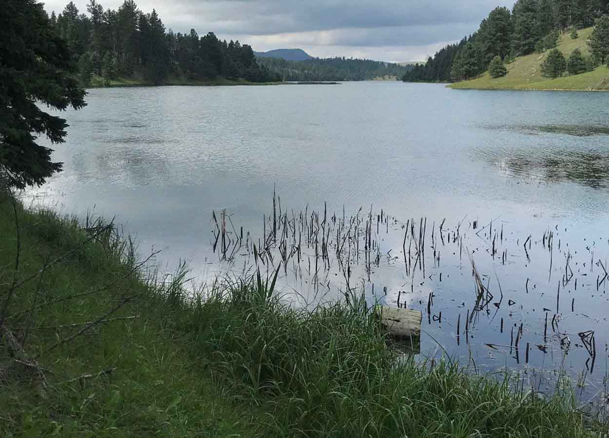Deer Field Lake