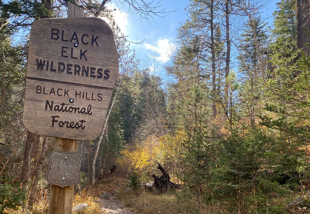 Black Elk Peak Wilderness