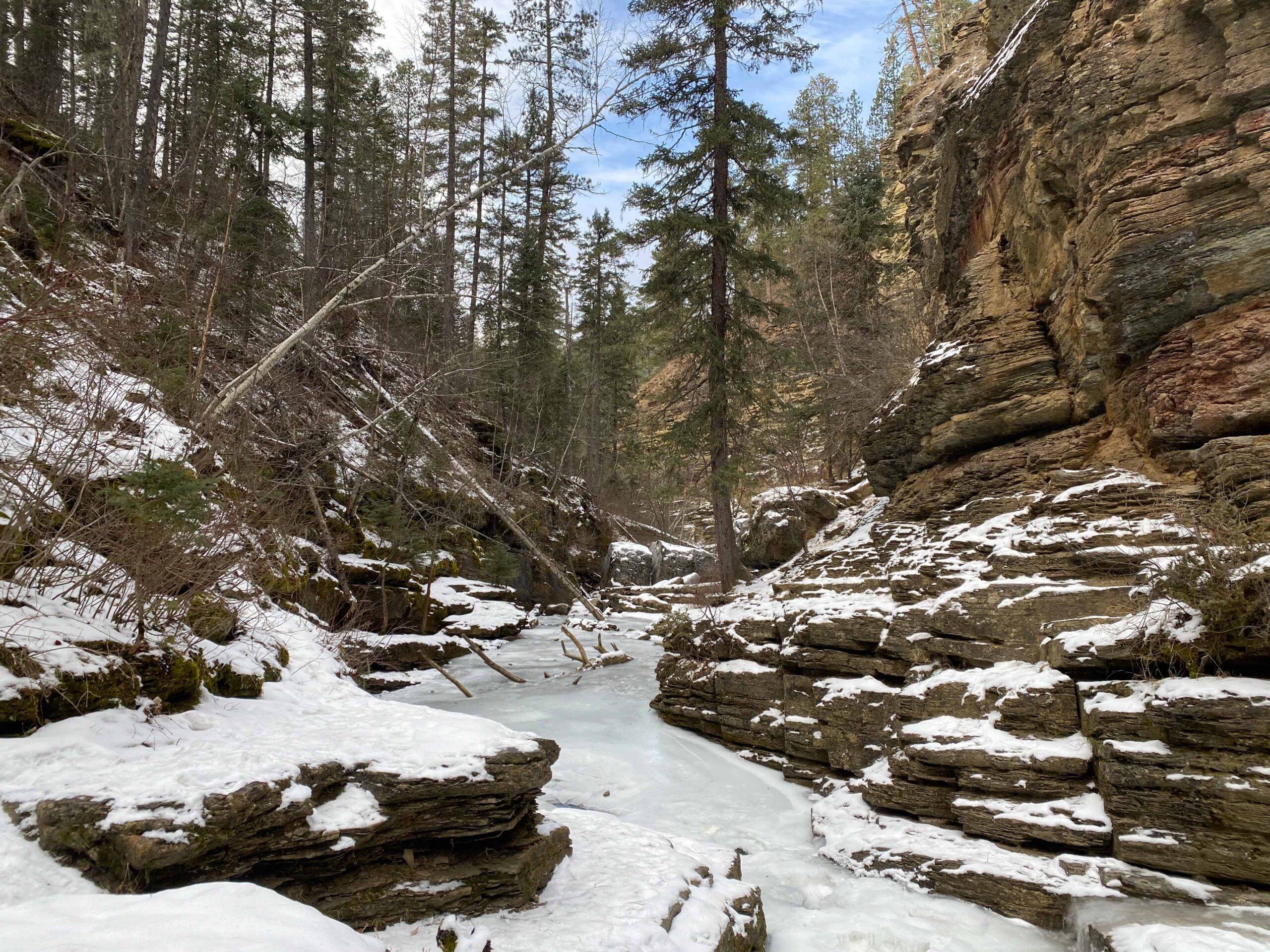 Spearfish