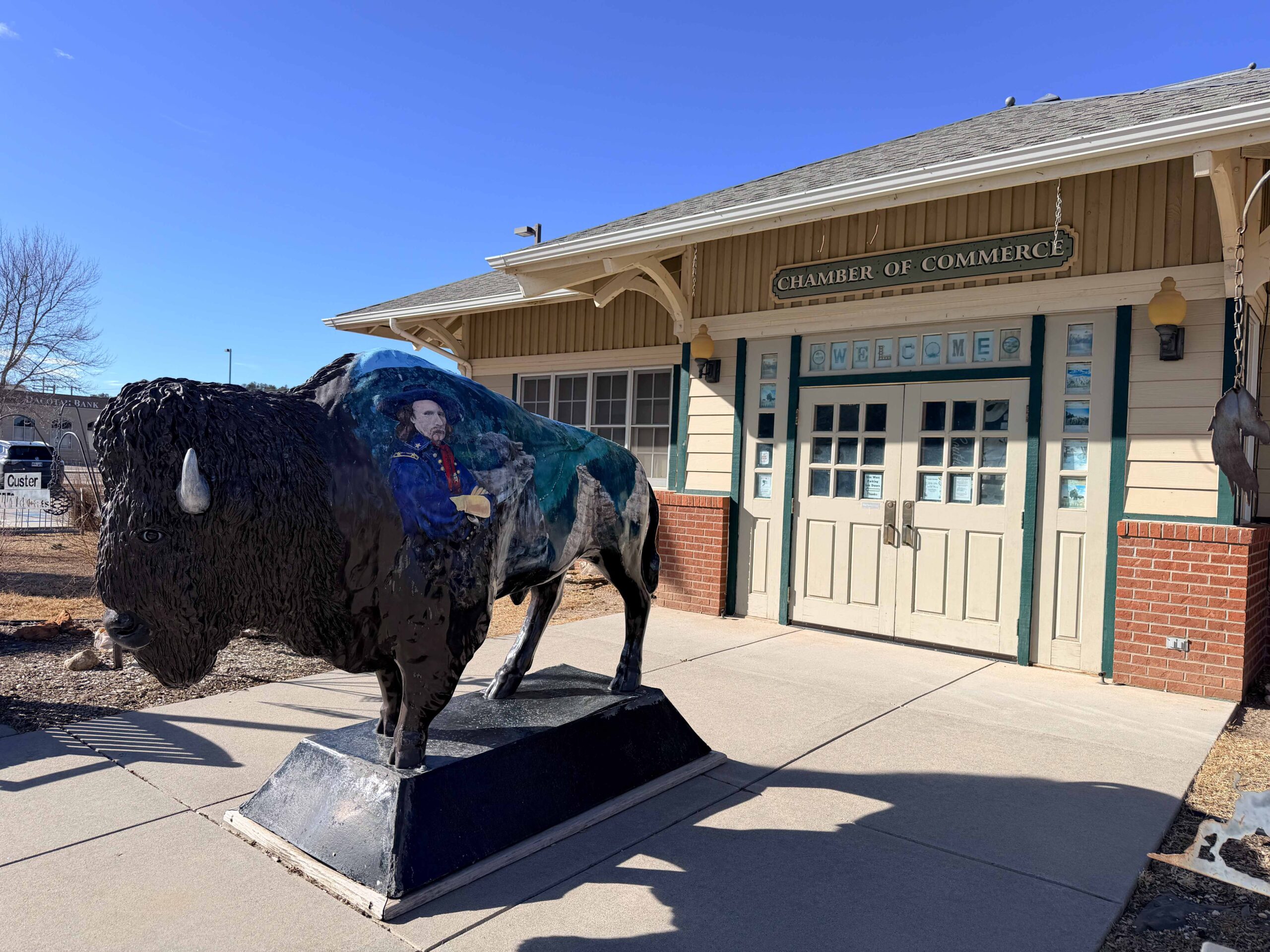 Bison Statue in Custer, SD outside of the chamber of commerce