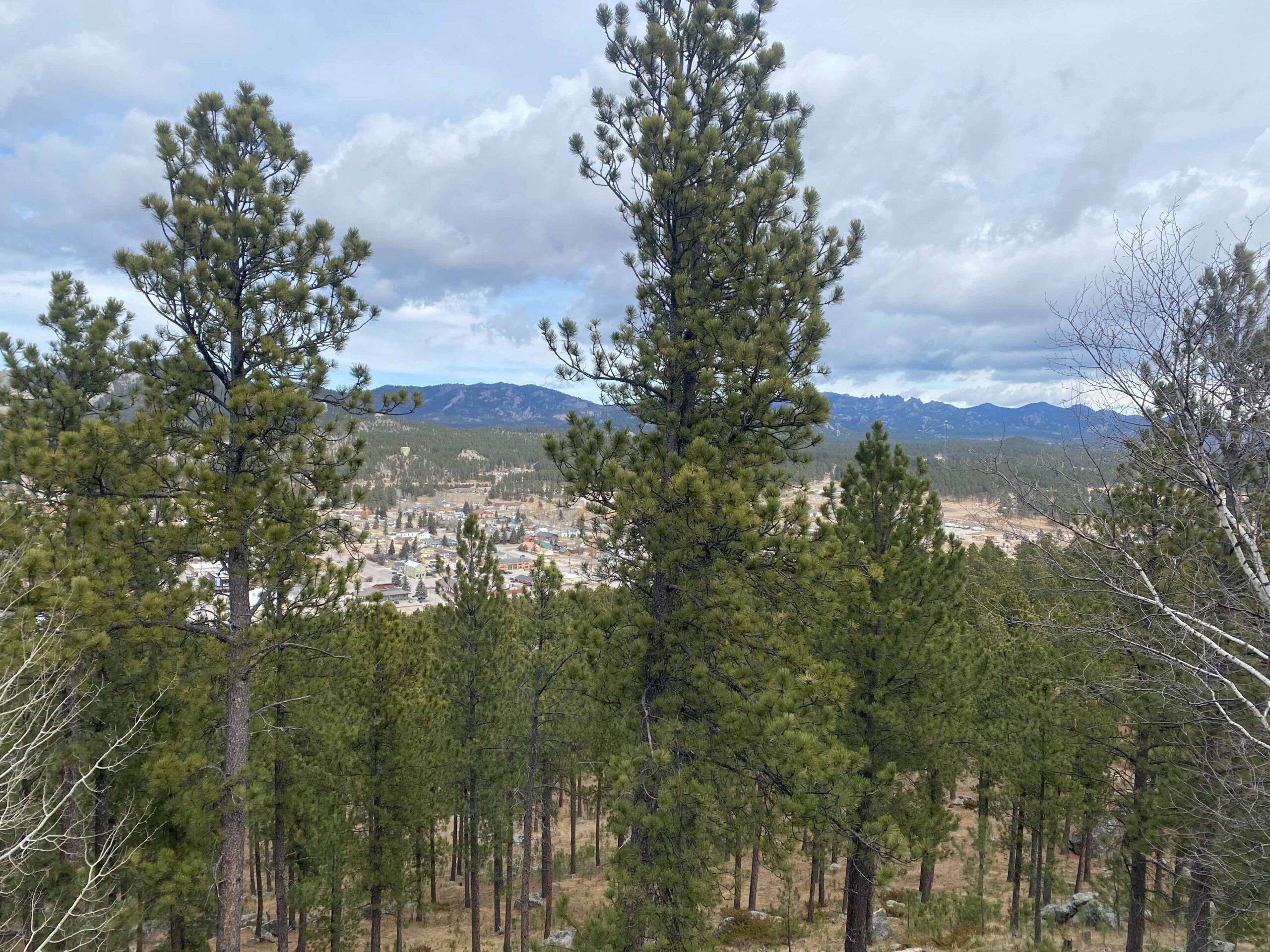 Overview of Custer, SD