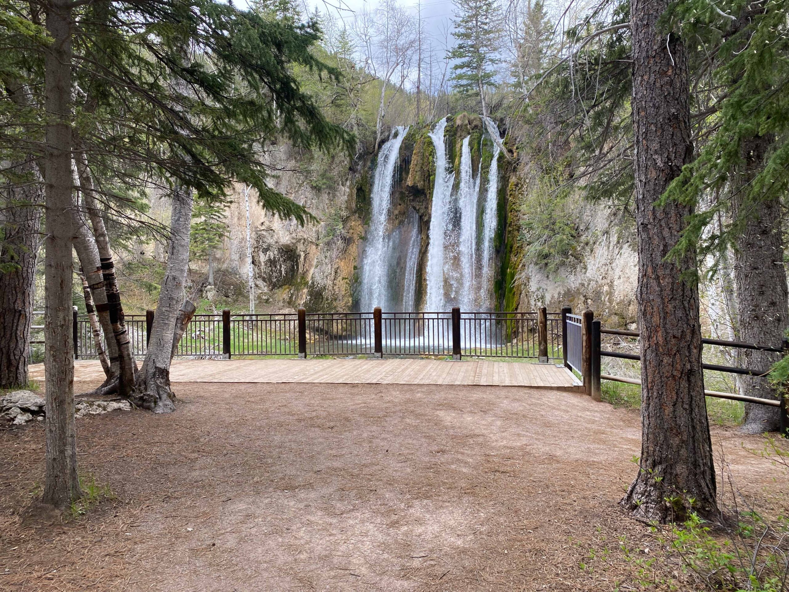 Spearfish